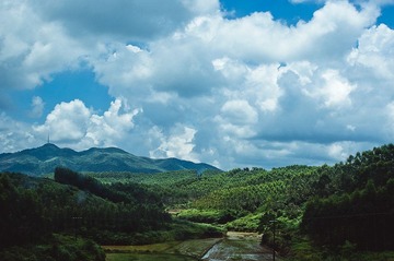 IMGP2685.jpg