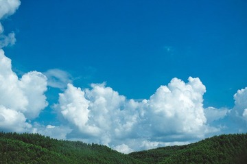 IMGP2714.jpg