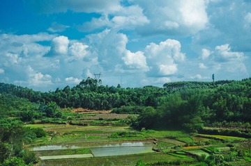 IMGP2715.jpg
