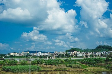 IMGP2724.jpg