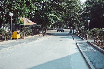 IMGP1696.jpg