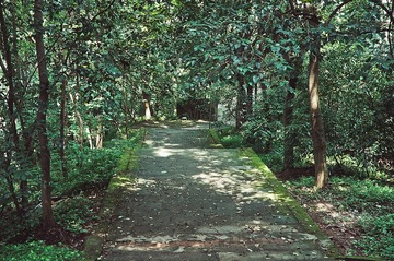 IMGP1707.jpg
