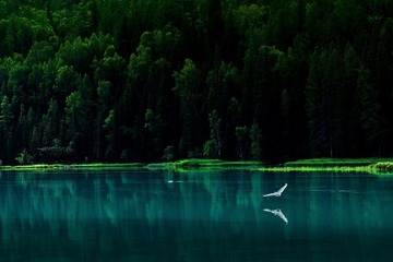 春深