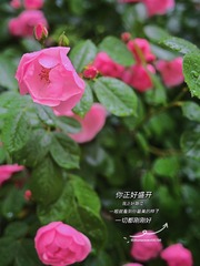 B4D1F945-3EE9-4E9B-80A2-6C4EC1413DF9/L0/001