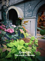 6D415929-E8E7-45DB-A537-67E681568886/L0/001