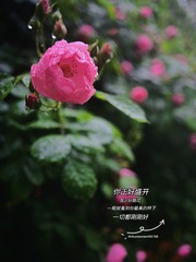 8B34CBC1-E4AF-40D9-8A0C-86CC238BB2B2/L0/001