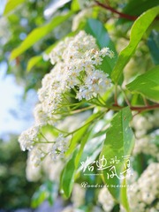 B7CBB1B8-5BB2-4A05-85C9-659D454B98EA/L0/001