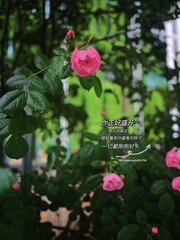 21EB61BA-610F-4E0D-A0B9-6B2A875FBED6/L0/001