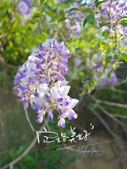 5FF966E7-1F10-4776-9D4F-B44D5D9F0393/L0/001