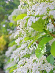 55D09E77-1287-4990-996C-BF59E4396528/L0/001
