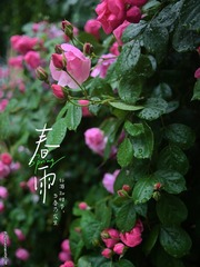 35FF7740-01CC-47A7-B584-142A91398FCC/L0/001