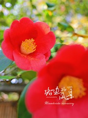 A27CF237-9753-47E0-BD6E-DA98C59F0791/L0/001