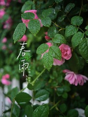 D5B7B9DE-3AE0-4449-BFE2-4B0190A86033/L0/001