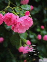 7ED2C9D8-E83D-44CF-9CDE-1B9573E00E48/L0/001