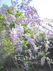 B222F739-3C64-4CEE-BC94-0CF60661F7D0/L0/001