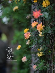 517423AE-0AEF-4A96-ACD4-92C74AD13C50/L0/001