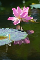 6278D21F-7416-425E-8E45-25F30FAF7150/L0/001
