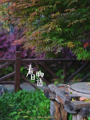 390D0464-89A8-4FAB-B309-EBD0DD4A8A61/L0/001