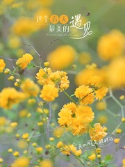 98593307-9B7A-4050-BB27-C2AD3A905332/L0/001