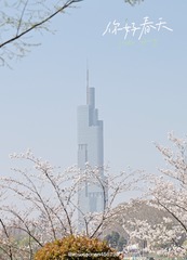 29148E40-DF9F-4A31-A721-174517C1B514/L0/001