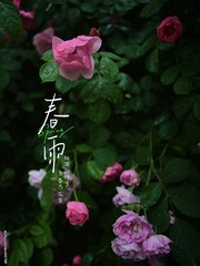 B750B764-D181-45D2-ACC6-047A5178AC53/L0/001