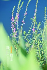 12D63F0E-5A64-4248-979C-C6232BA75D70/L0/001