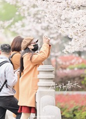 9B988720-8ED9-41C4-B46A-B40ED679DD04/L0/001
