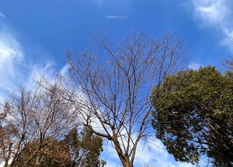 64F14721-B151-4C64-88CF-B2095D5EBAD5/L0/001