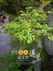 1C68F7F1-7FA7-4854-80F5-9D57997924F8/L0/001