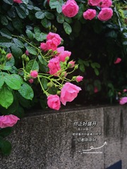 67EB63E3-9B22-4023-9789-CBADF84DBEE5/L0/001