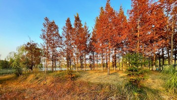 37AA18BF-F77A-4E51-A44E-DB15B6593EE2/L0/001