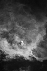 _DSC2549