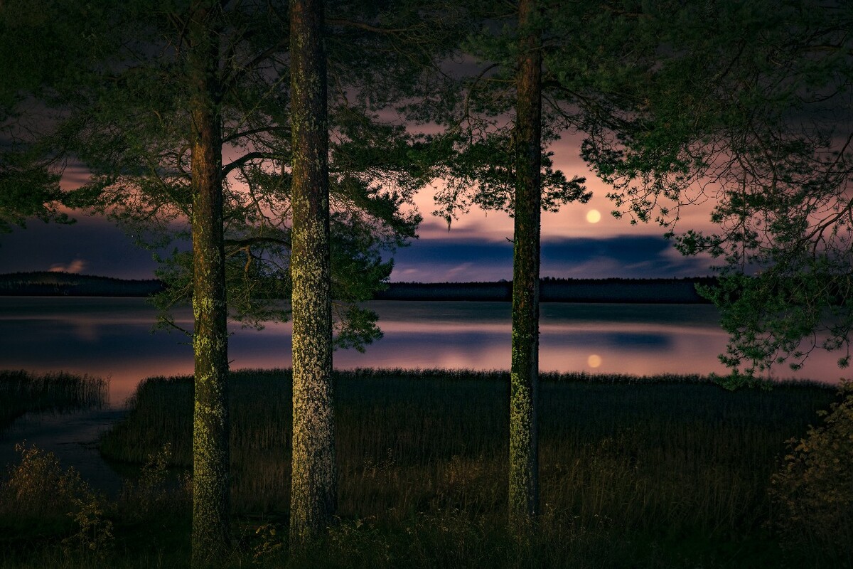 因为松树刚好被灯光完美的补光，远处的湖面洒满月光，天空的云霞呈现出很梦幻的色彩，一张长曝光下，我得到了这样一幅“明月松间照”的诗意景色。