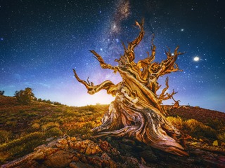 70  时间的风景