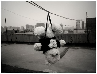 失落的天使2