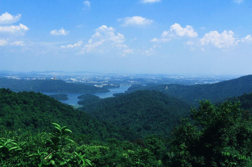 云山云海