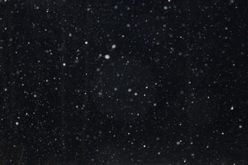1000005228