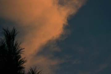 1296412