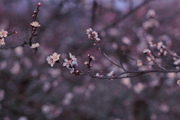 3BCB2F0B-F463-409E-AC87-E470F11402FB/L0/001