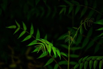 0560577C-F5D7-4E2F-8391-A18DC5C95E96/L0/001