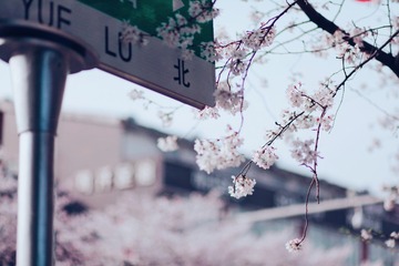F4D52039-B218-40B2-8008-BE70735390E7/L0/001