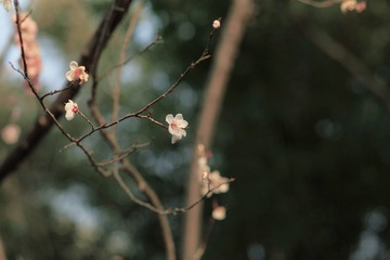 F7CEE9A4-7D71-4232-9D94-FF8A32A35599/L0/001
