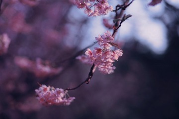 01B9885B-3BF3-4B4E-979C-801C71E4560C/L0/001