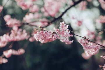 8D7FA4FC-EE14-4B7F-8C1E-F91FCCDCBCC6/L0/001