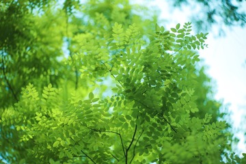 2228D9A7-CE4D-4291-A23A-5AC5F26BD90B/L0/001