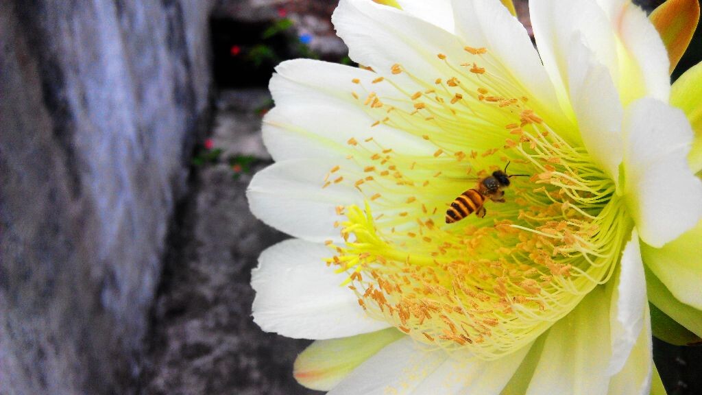 机会不长久，珍惜把握。。