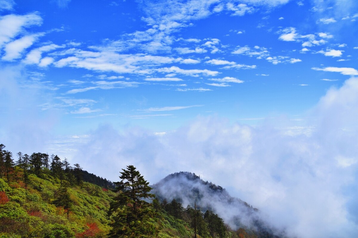 西岭雪山阴阳界中秋的蓝天白云3250米高山的负氧离子让人心旷神怡