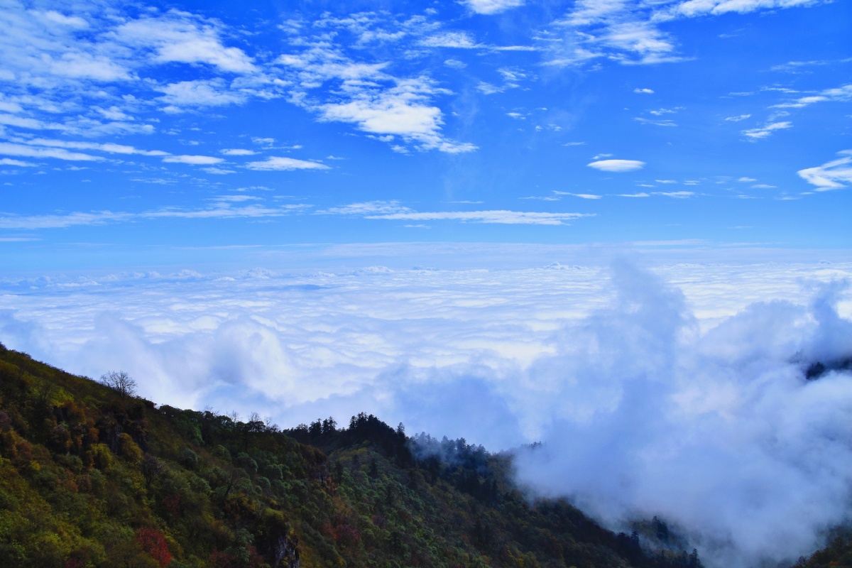 西岭雪山阴阳界中秋的蓝天白云3250米高山的负氧离子让人心旷神怡
