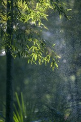 tmp_175d57b3091ac8f7f1e0c0eaa11e405d6fec5c85af63d07c