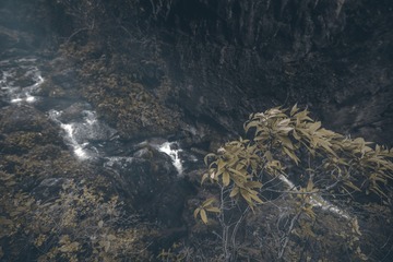 1192614